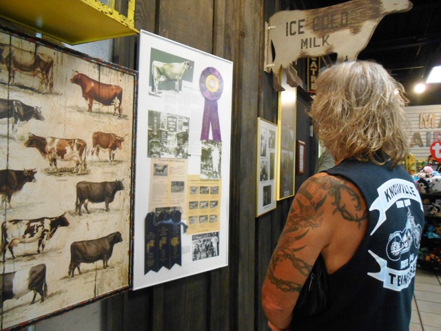 The Visitor Center features lots of history about Mayfield Dairy and facts about dairy cows.